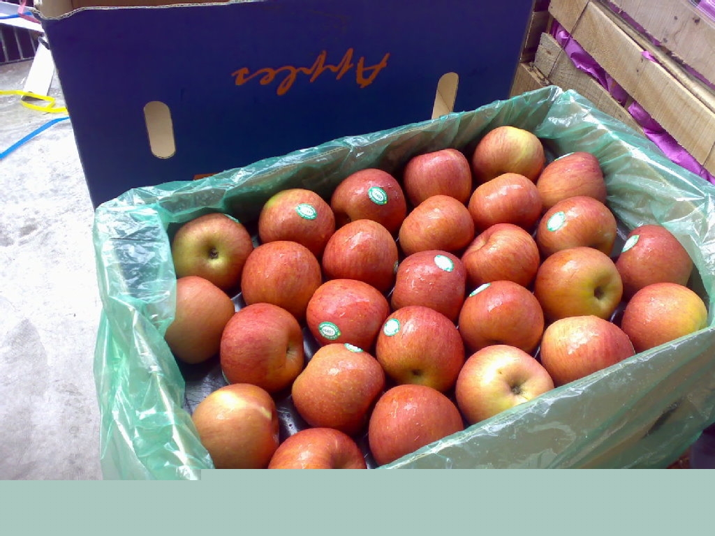 供应安圣达水果 水果种植 水果生产 水果运输